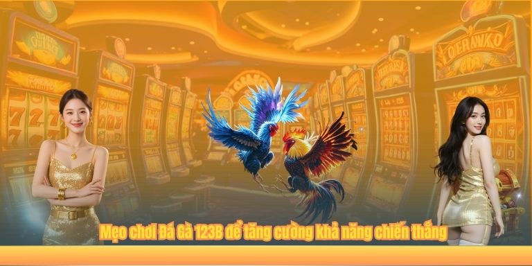 ĐÁ GÀ Mẹo chơi Đá Gà 123B để tăng cường khả năng chiến thắng